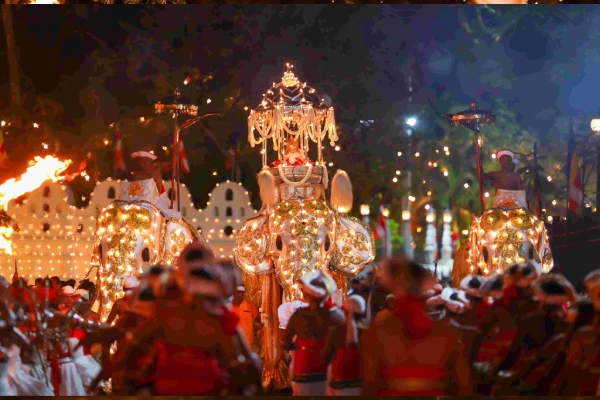 Elephant Procession