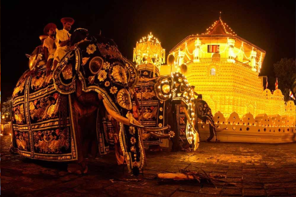 Elephant Procession